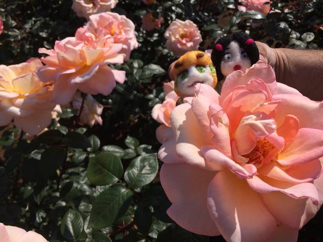 400種類のバラに、ソバに、温泉まで楽しめる神代植物公園ってどんなところ？